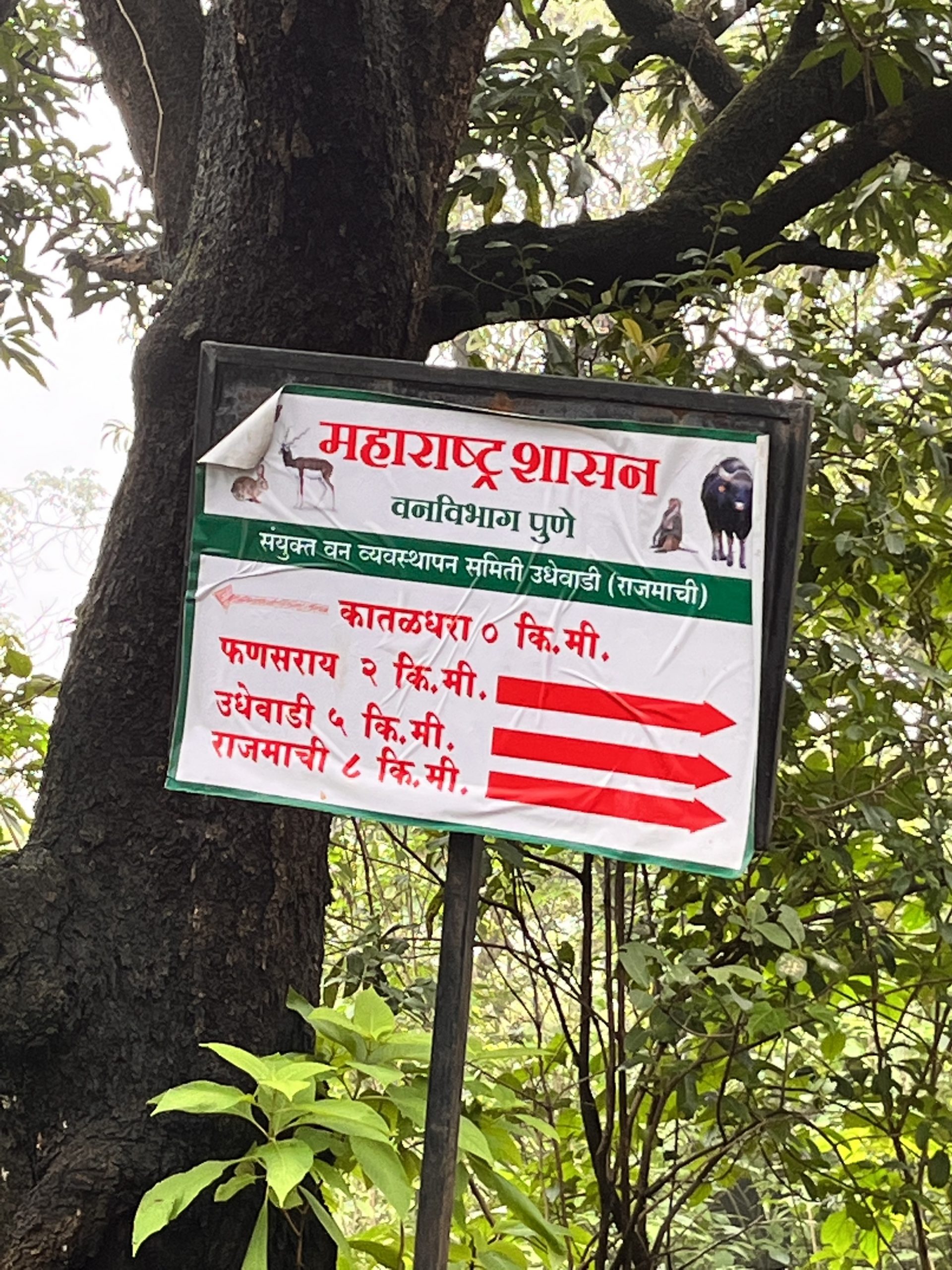 sign board enroute rajmachi trek